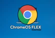 Download ChromeOS Flex