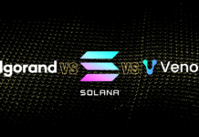 Algorand vs Solana vs Venom